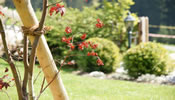 Gartenplanung Neugestaltung